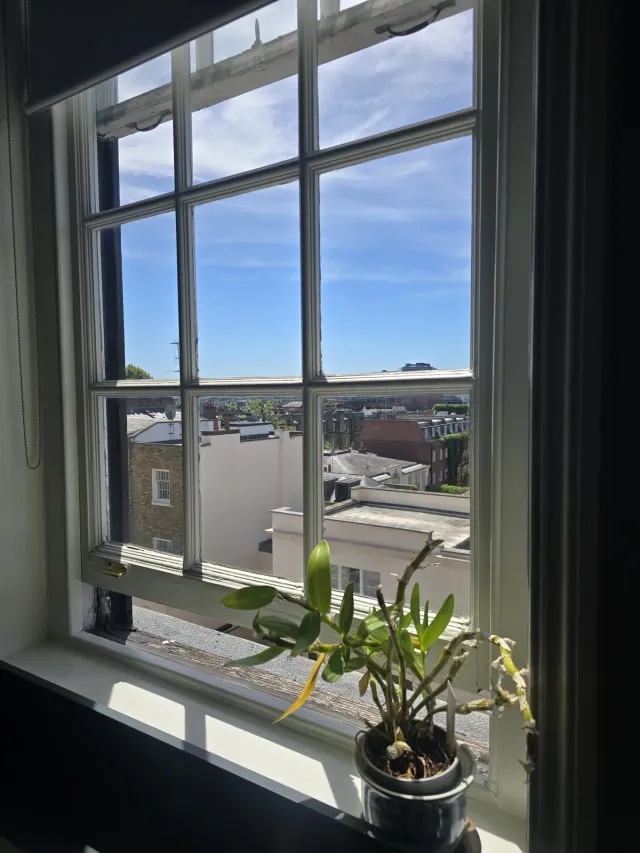Window view from Eaton Gate Practice with a potted plant, London rooftops, and blue sky